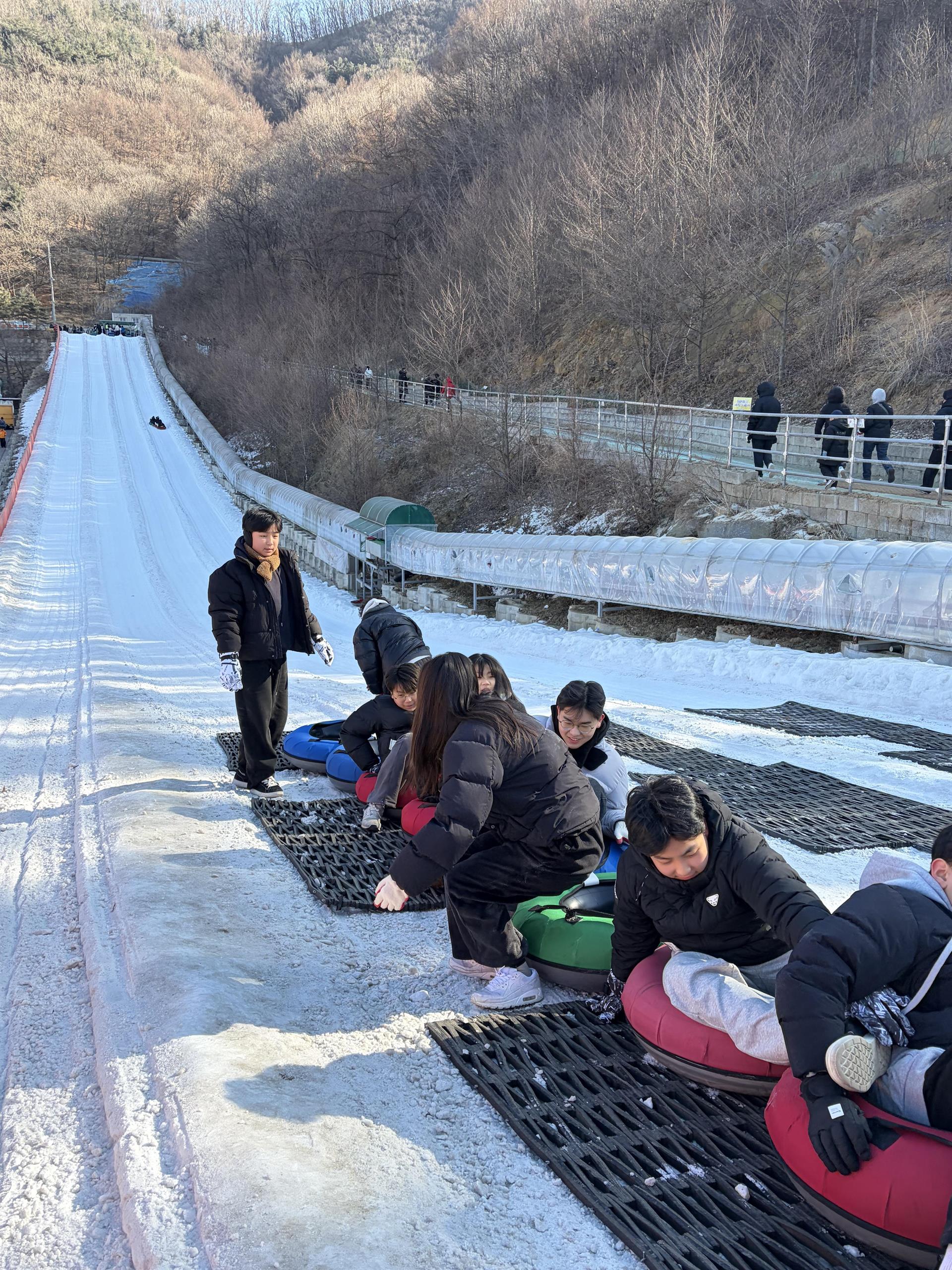 1769933457151_IMG_1930.jpeg 1769933457151_IMG_1930.jpeg