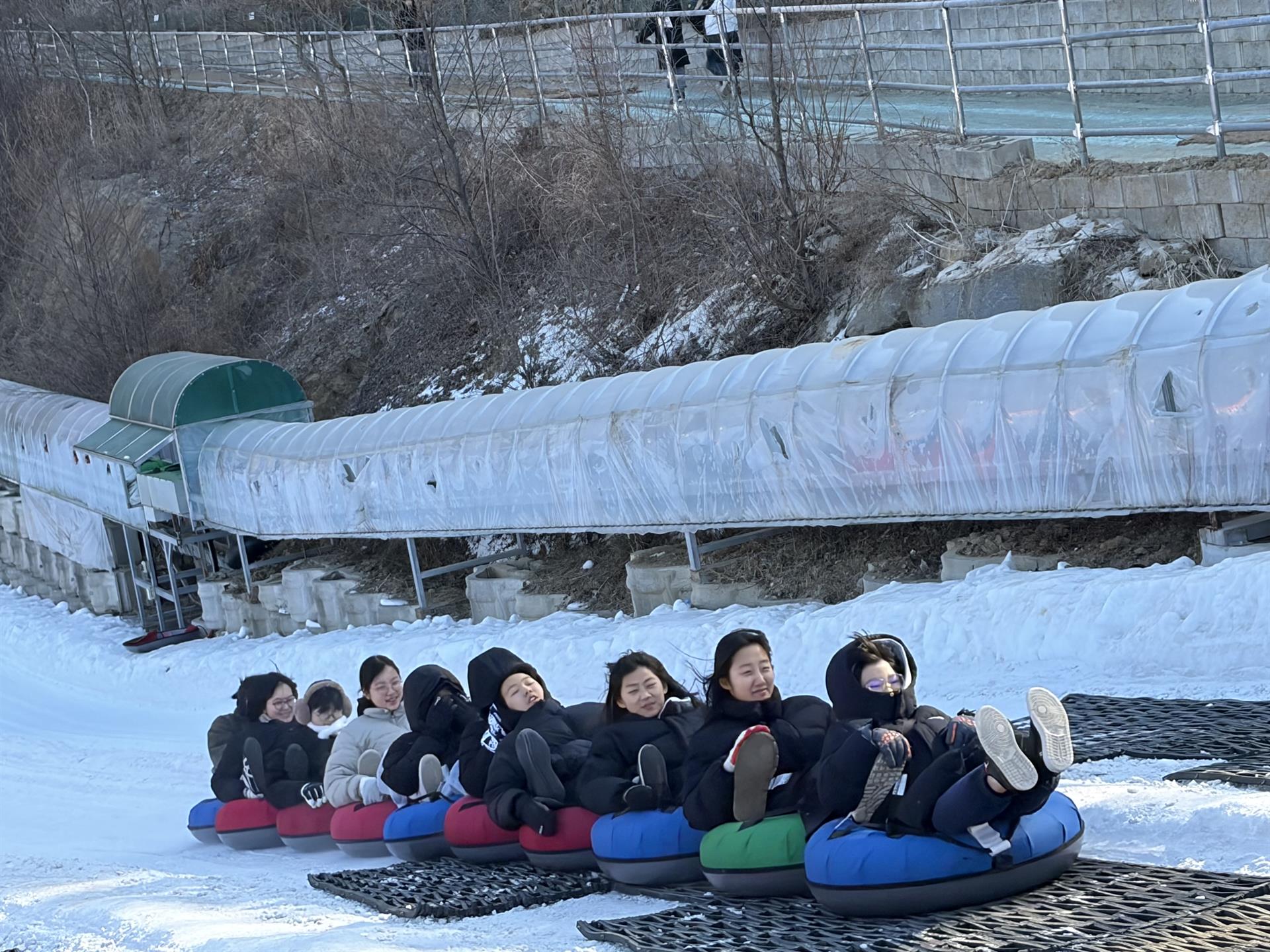 1769933469717_IMG_1914.jpeg 1769933469717_IMG_1914.jpeg